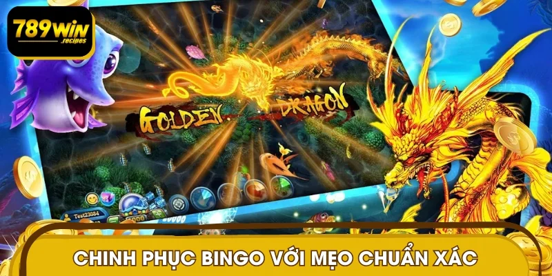 Chinh phục phiên bản bingo với mẹo bắn cá chuẩn xác