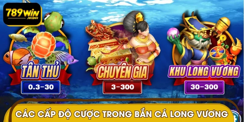 Ba sảnh cược đa dạng giúp người chơi dễ dàng lựa chọn