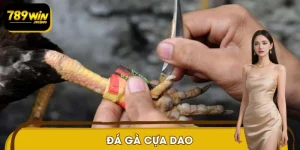 Đá Gà Cựa Dao – Phân Tích Kèo Nhanh Trong Từng Giây Đấu