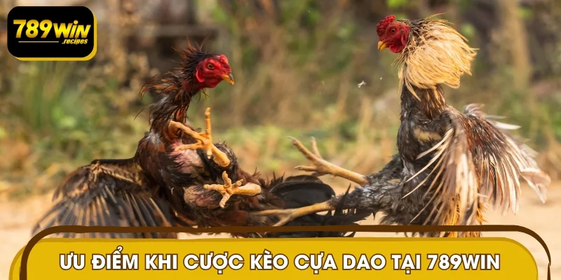 Ưu điểm khi cược kèo cựa dao tại 789WIN