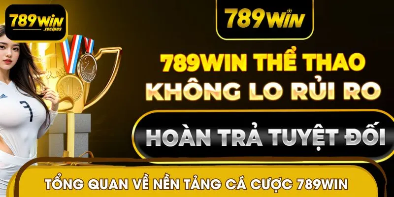 Giới thiệu 789WIN với những thông tin sơ lược